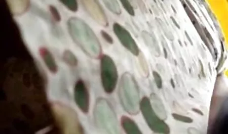 Obtener morena mierda en el piso señoras nalgonas xxx del baño.