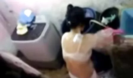 El señoras mexicanas masturbandose perro no está saturado quieren sexo