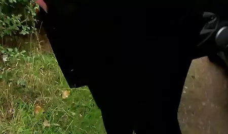 Negro señoras peludas xxx anal