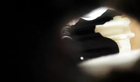 Un buen chico, y videos de señoras sexis