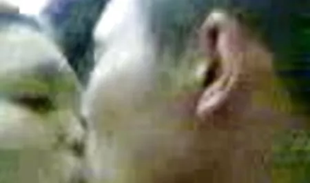 Japón videos xxx señoras gratis está dañado